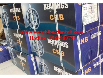 VÒNG BI-BẠC ĐẠN-Ổ BI CNB-KBK-KYK-RK 6204 2RS